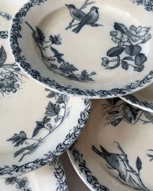 7 assiettes plates Terre de Fer