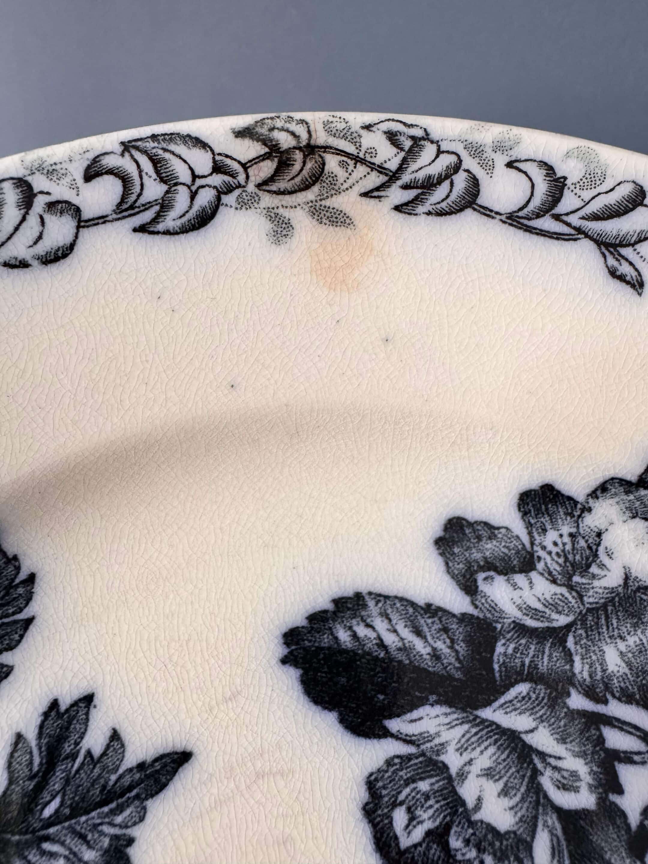 15 assiettes Terre de Fer Digoin, modèle "Favori"
