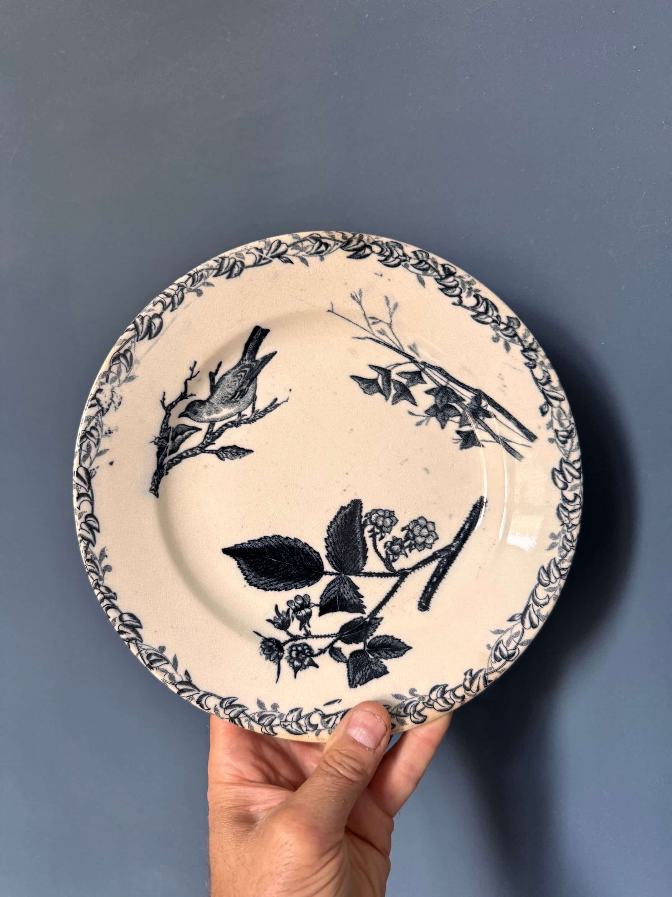 15 assiettes Terre de Fer Digoin, modèle "Favori"