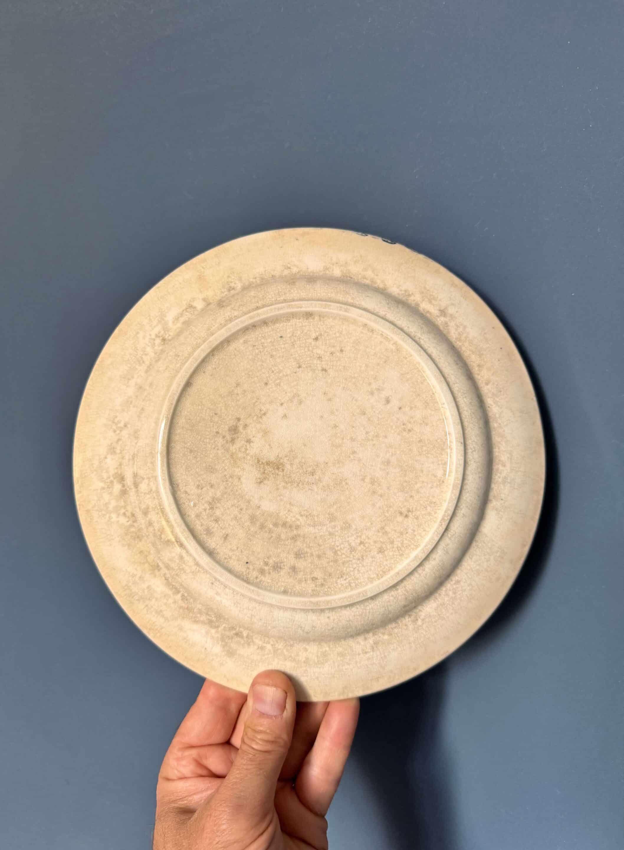 15 assiettes Terre de Fer Digoin, modèle "Favori"