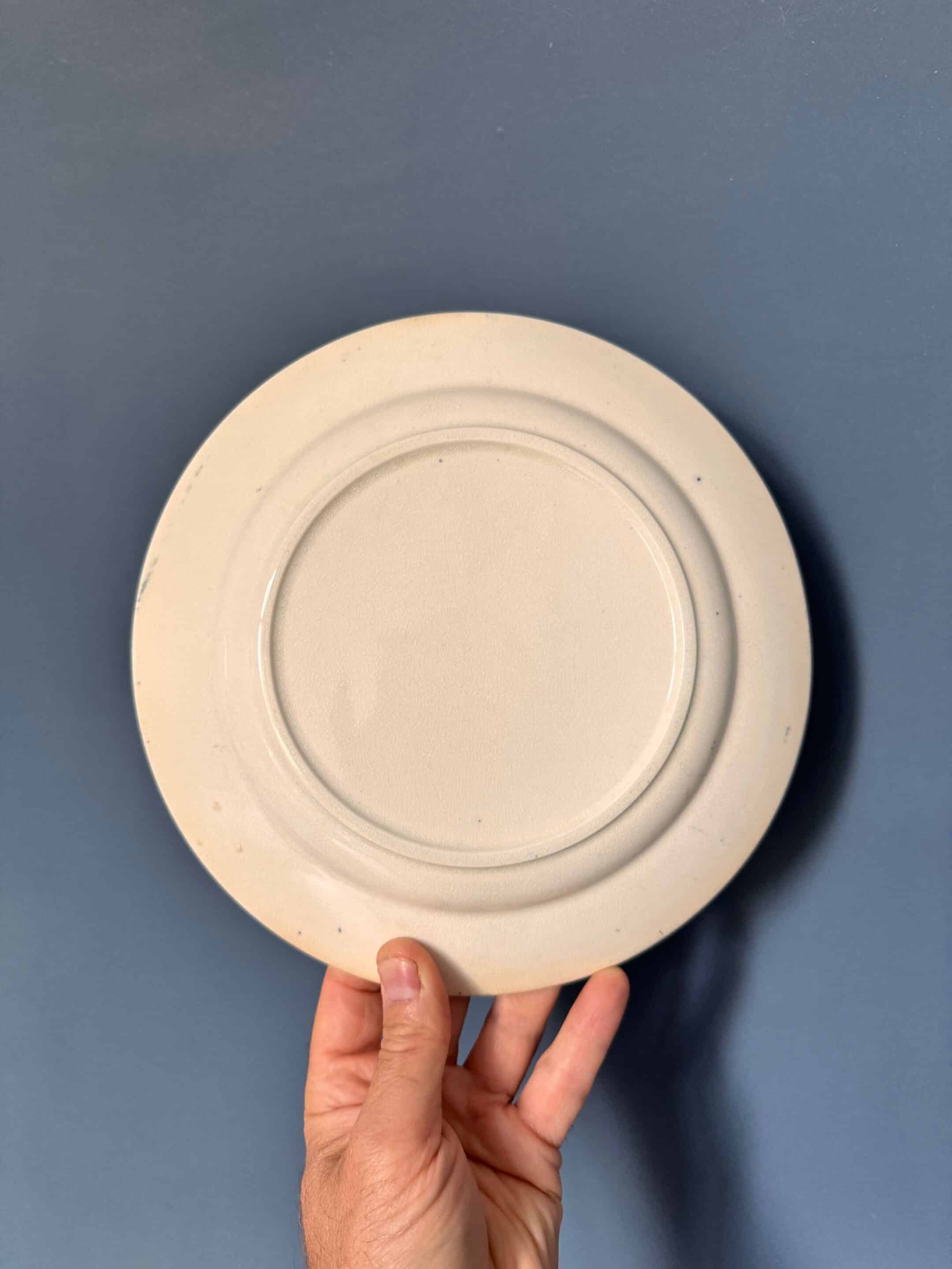 15 assiettes Digoin Terre de Fer, modèle "Favori" XIXème – Image 4