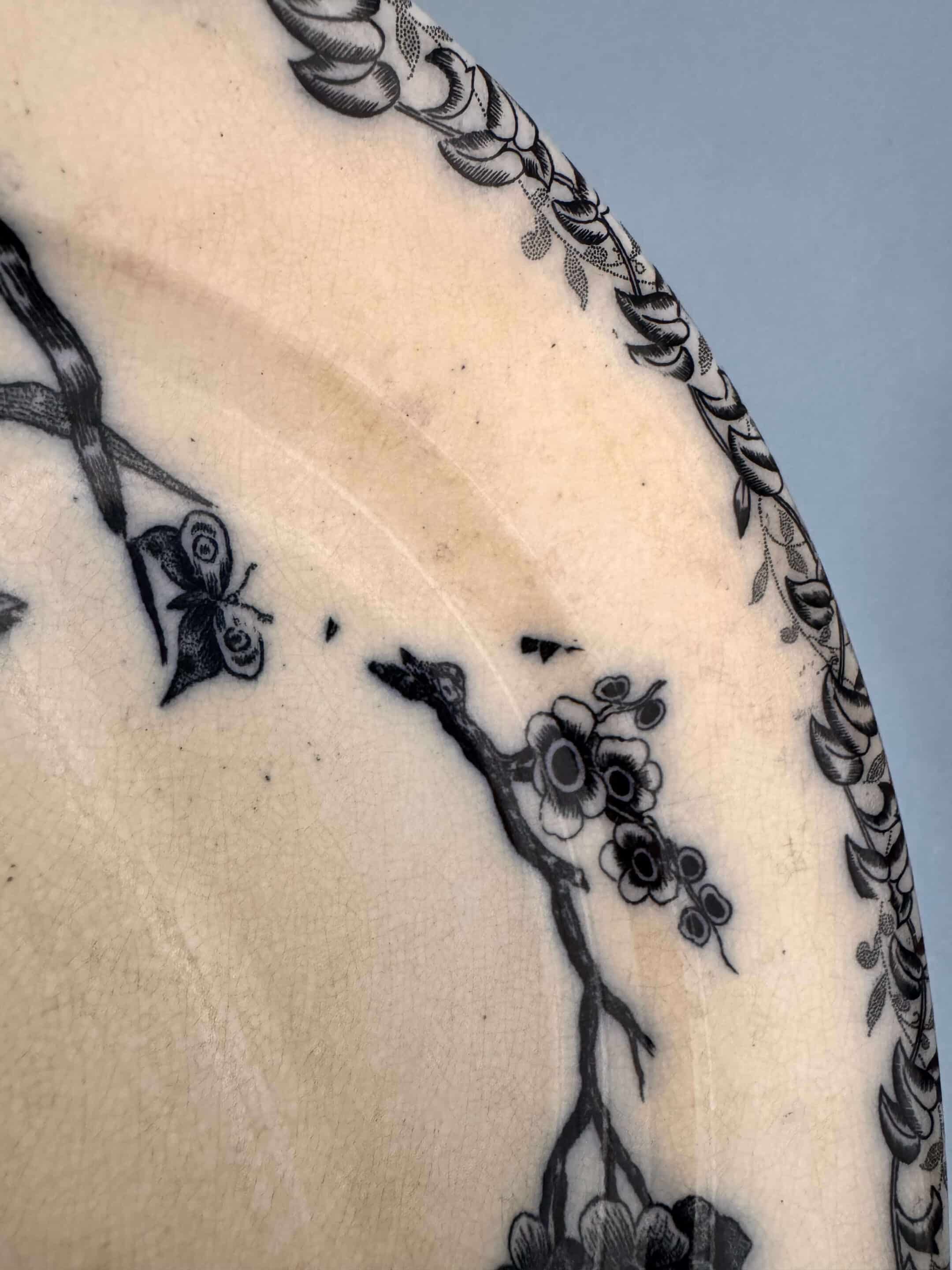 15 assiettes Terre de Fer Digoin, modèle "Favori"